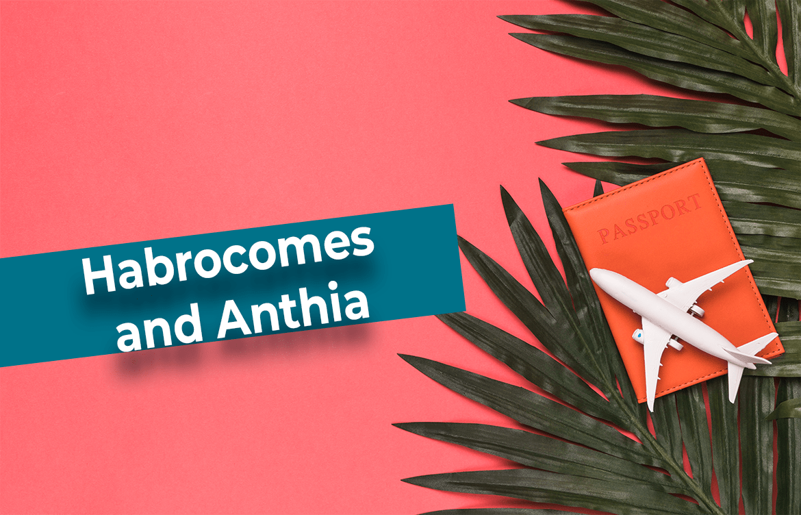 habrocomes and anthia